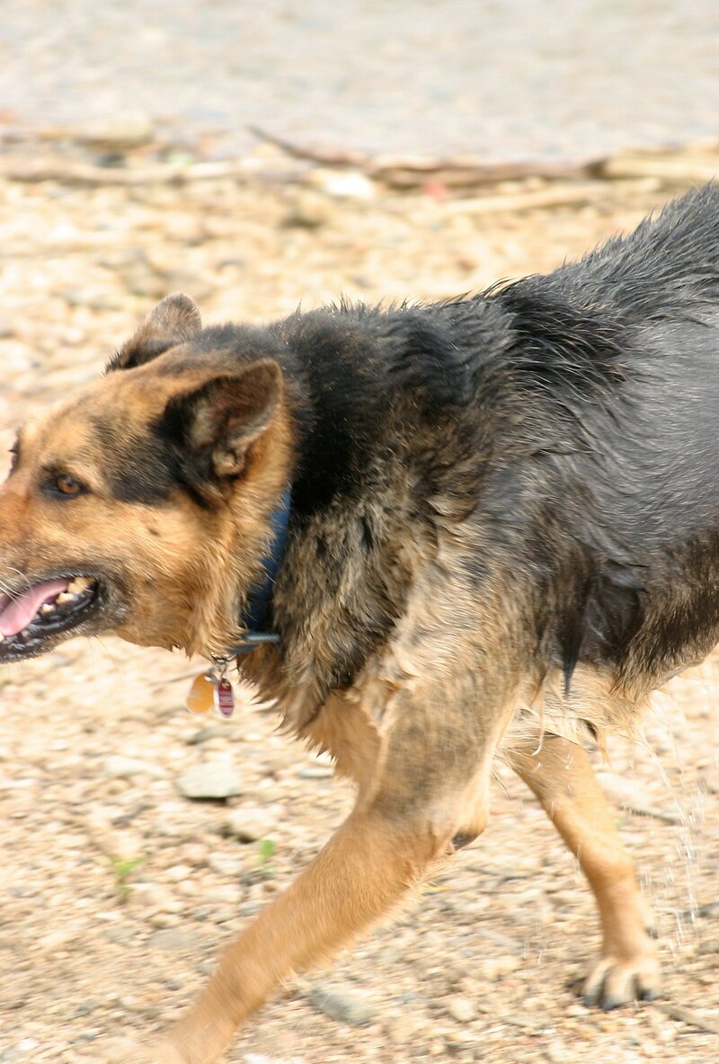 Ираида, 23 года, 1 размер груди